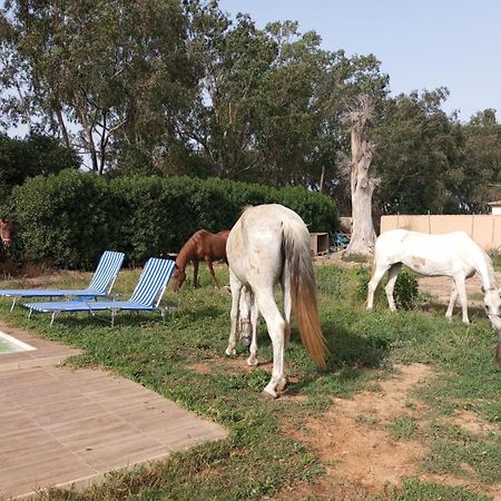 Centro Ecuestre Girasol Villa Чиклана де ла Фронтера Екстериор снимка